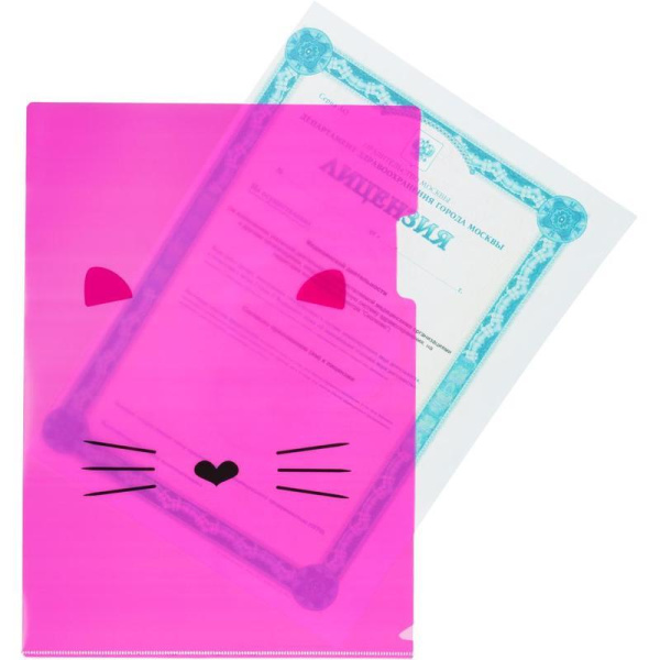 Папка уголок №1 School Kitty А4 пластиковая 180 мкм цвет в ассортименте  (2 штуки в упаковке)