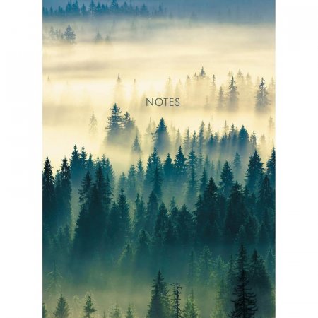 Бизнес-тетрадь Канц-Эксмо Туманный лес А4 100 листов разноцветная в  клетку на сшивке (212х290 мм)