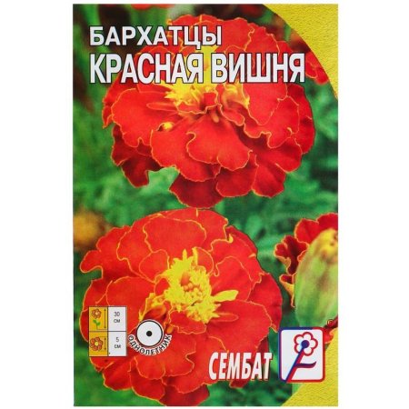 Семена Бархатцы Сембат Красная вишня 0.2 г