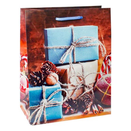 Пакет подарочный ламинированный новогодний Подарок для близких  (22x31x10см)