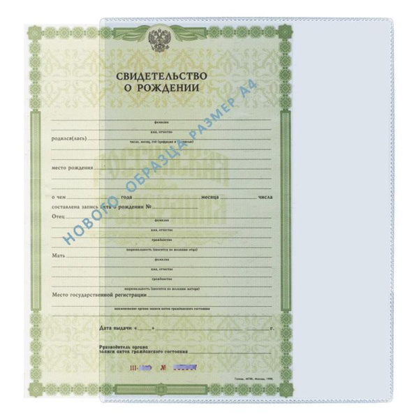 Папка-карман для документов и свидетельств ДПС А4 (305x222 мм)