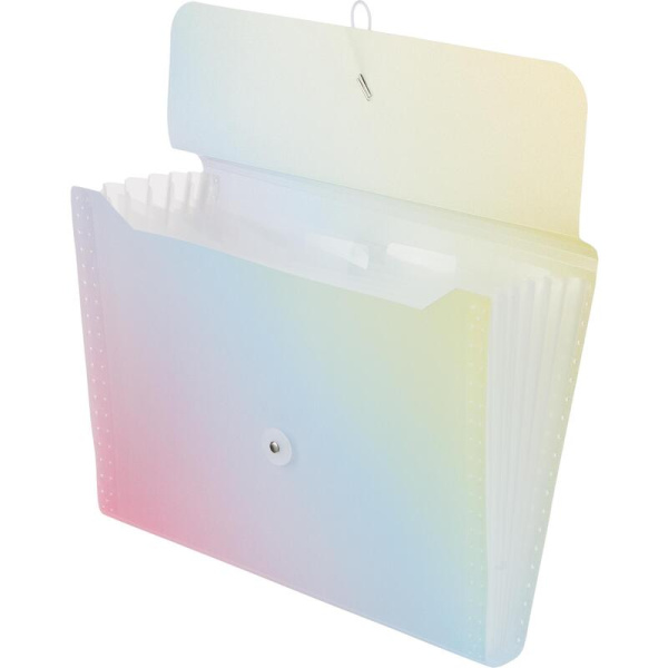 Папка органайзер Attache Selection Rainbow А4 с рисунком 7 отделений  (330x240 мм)