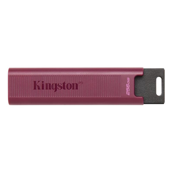 Флешка USB 3.1 256 ГБ Kingston Datatraveler Maxa (DTMAXA/256GB)