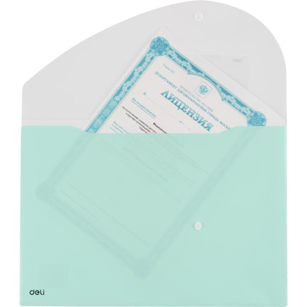 Папка-конверт на кнопке Deli А4+ 180 мкм (с кармашком для визитки)