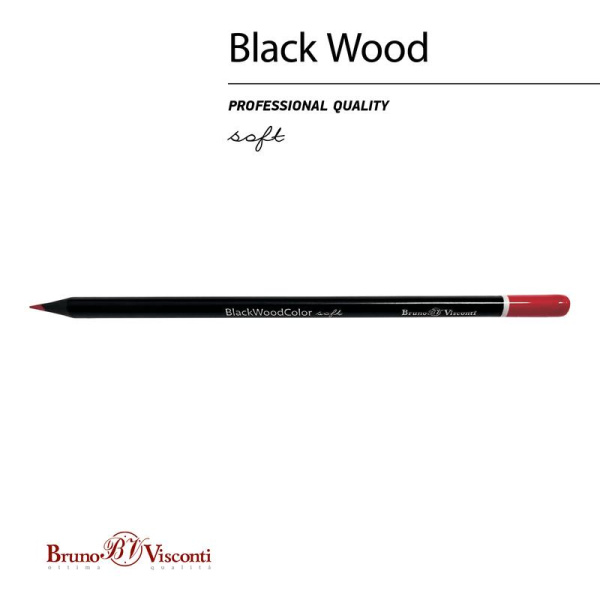 Карандаши цветные Bruno Visconti Black Wood 12 цветов трехгранные