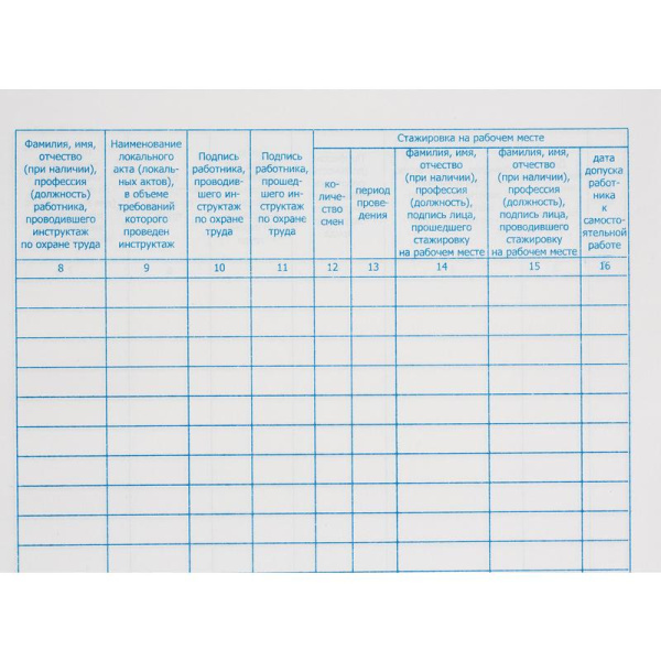 Журнал регистрации инструктажа на рабочем месте (96 листов, сшивка,  обложка переплетный картон/бумвинил)