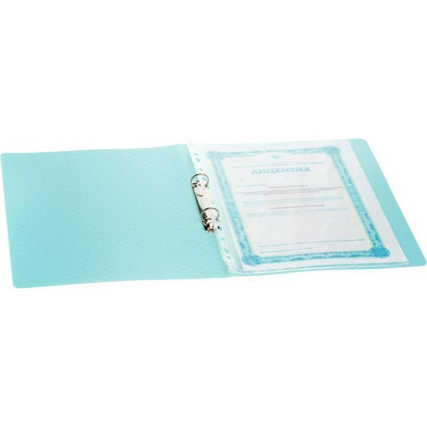 Папка на 2-х кольцах Esselte Colour'Ice 25 мм синяя до 140 листов (пластик 0.5 мм)