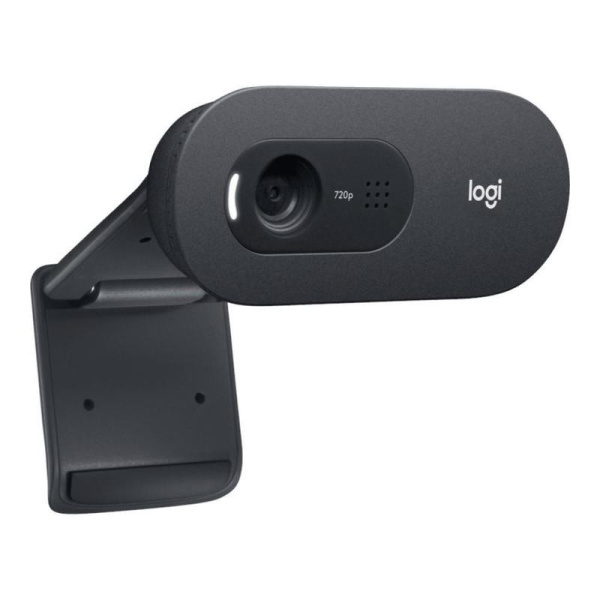 Камера для видеоконференций Logitech C505e (960-001372)