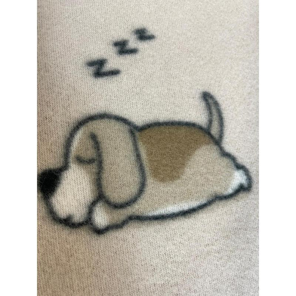 Плед детский Belezza Sleep Dog флис 130x170 см разноцветный