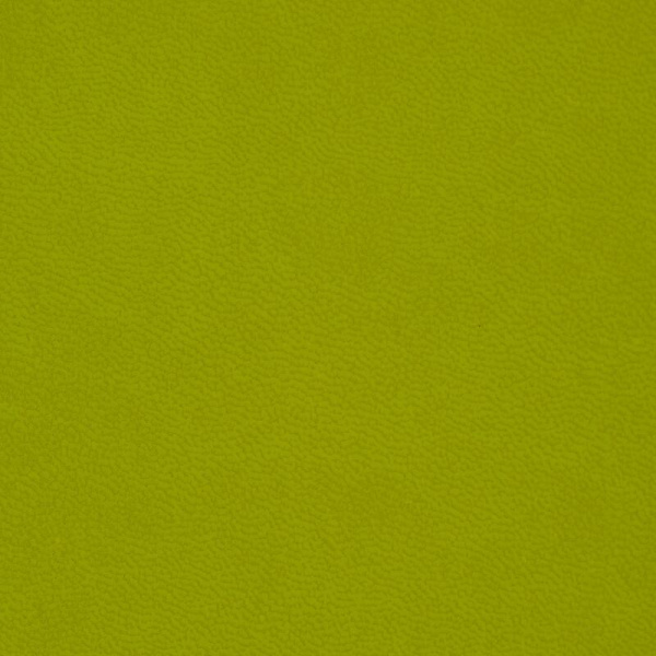 Ежедневник недатированный Attache Classic искусственная кожа А5 136  листов салатовый