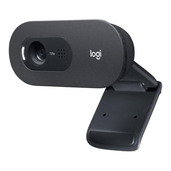 Камера для видеоконференций Logitech C505e (960-001372)