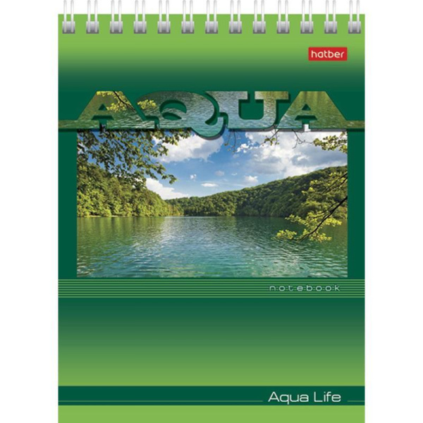 Блокнот Hatber Aqua А6 40 листов в клетку на спирали (обложка в  ассортименте)