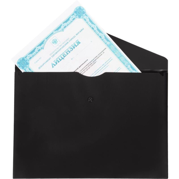 Папка-конверт на кнопке Attache Акварель А4 180 мкм черная (10 штук в  упаковке)