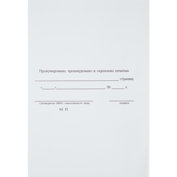 Журнал учета для розничной торговли (96 листов, сшивка, обложка  бумвинил)